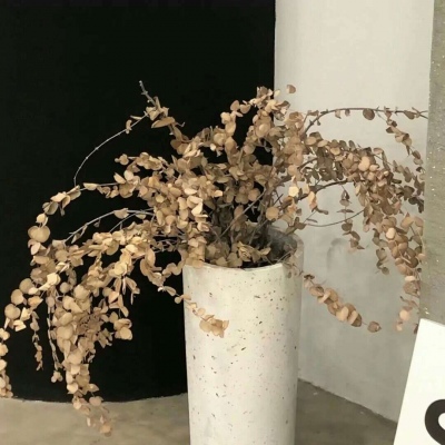 枣庄福瑞交流群